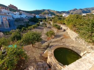 Casa de 135 m² y finca de frutales 762 m²